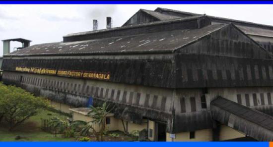 වර්ජනයෙන් සෙවනගලට වූ පාඩුව මි.250ක්...